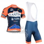 Vini Fantini Cycling Jersey Bib Short 2015 Men Short Sleeve Orange and Blue