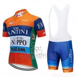 Vini Fantini Cycling Jersey Bib Short 2019 Men Short Sleeve Orange